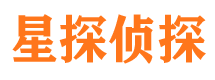 天峨调查公司